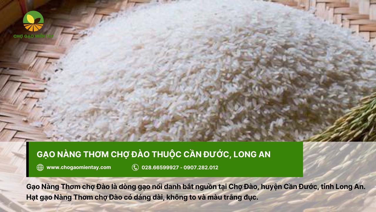 Gạo Nàng Thơm chợ Đào được trồng chủ yếu ở vùng Cần Đước, tỉnh Long An