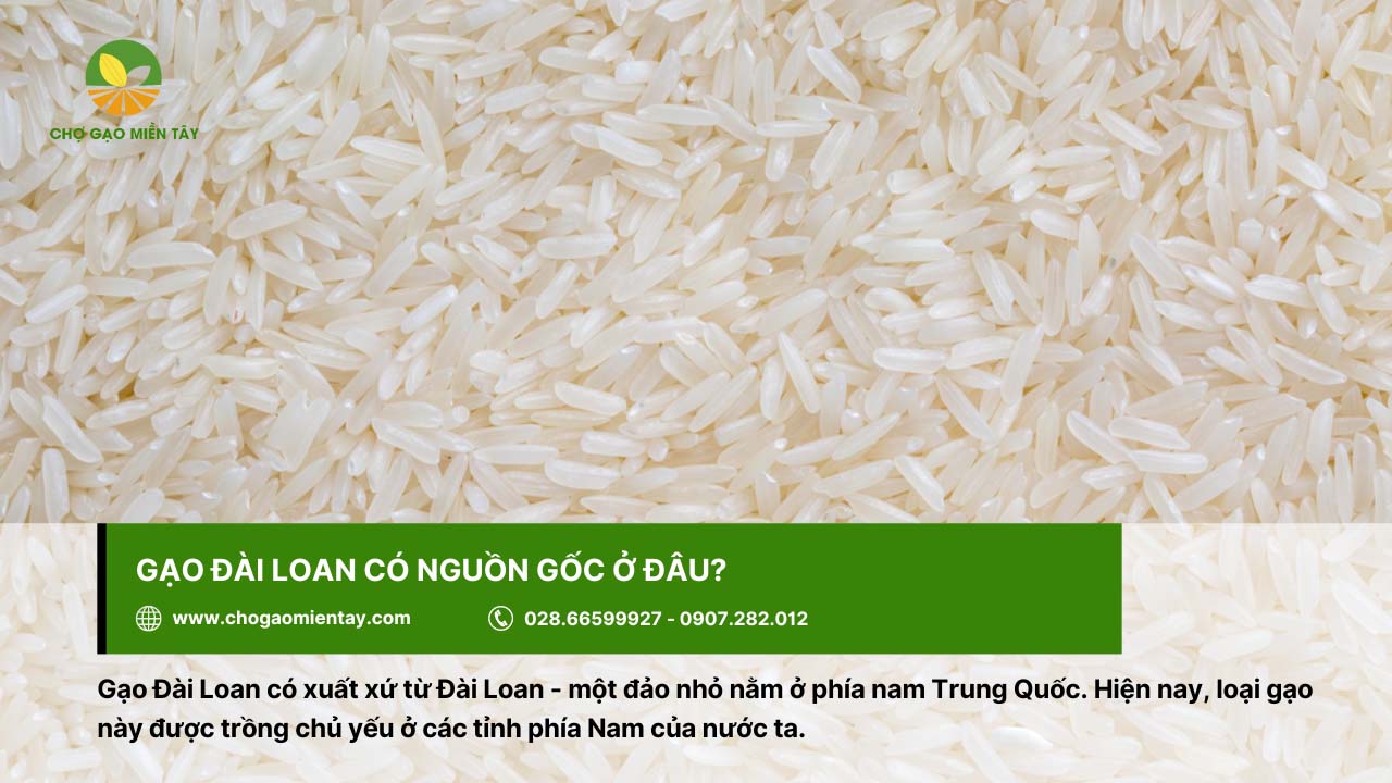 Gạo Đài Loan có nguồn gốc ở đảo nhỏ ở phía Nam của Trung Quốc