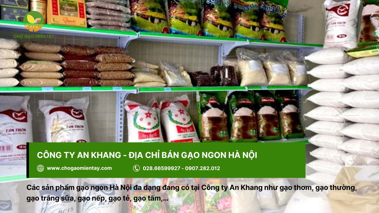 Công ty An Khang cung cấp đa dạng các loại gạo ngon