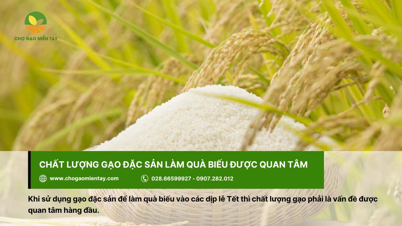 Chất lượng gạo đặc sản được quan tâm khi dùng làm quà biếu