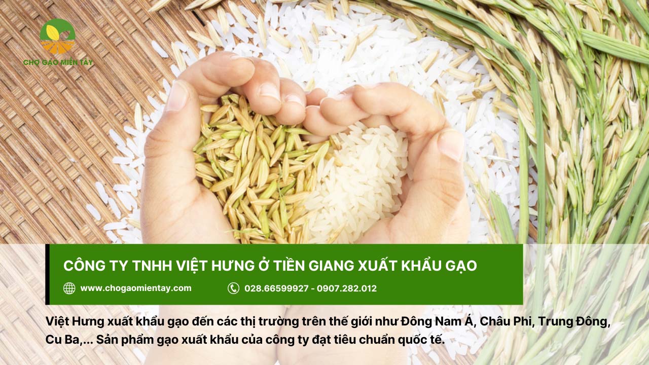 Công ty Việt Hưng ở Tiền Giang xuất khẩu gạo đến thị trường Trung Đông, Châu Phi,...