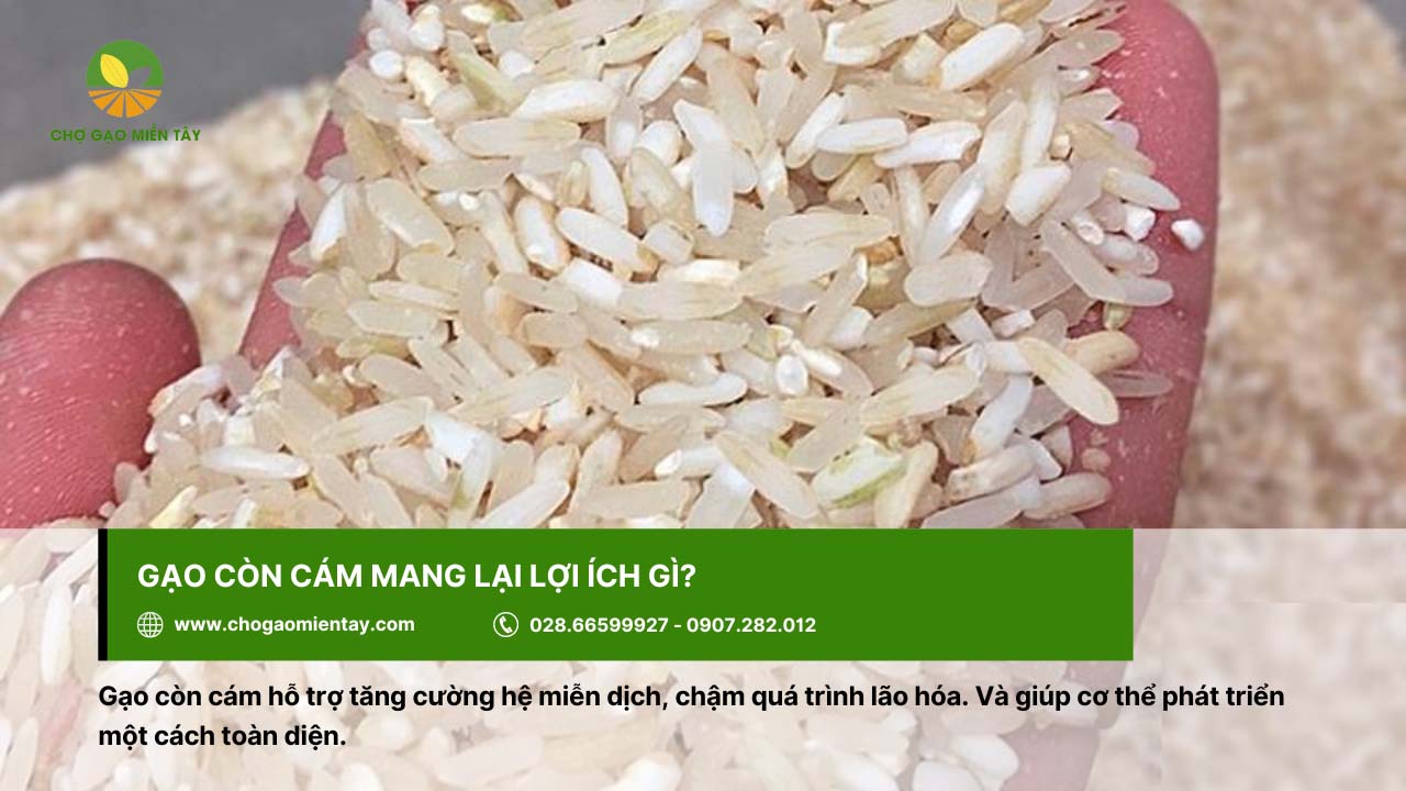 Gạo còn cám giúp tăng cường hệ miễn dịch