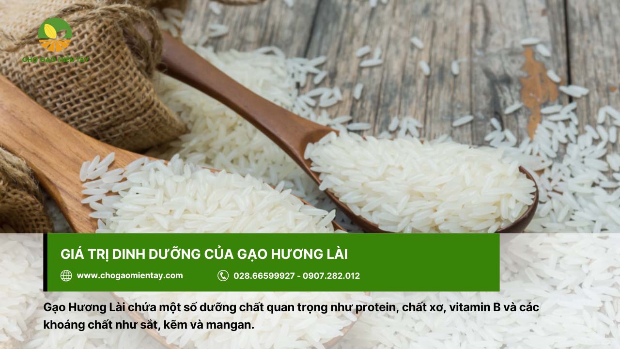 Gạo Hương Lài có giá trị dinh dưỡng cao