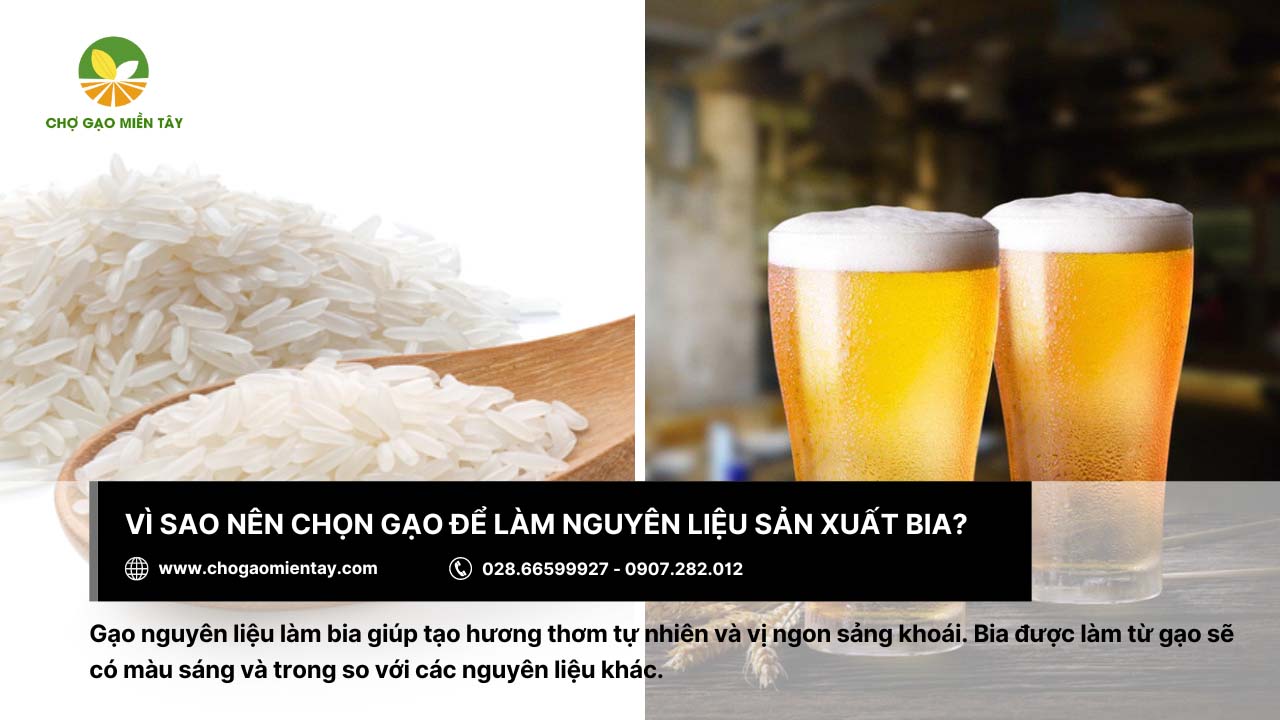 Sử dụng gạo làm nguyên liệu sản xuất bia nhằm tối ưu chi phí