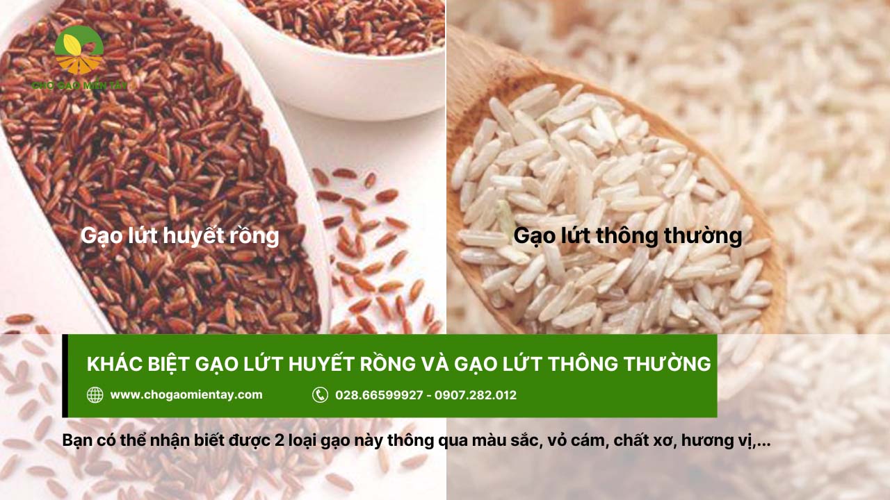 Có thể phân biệt gạo lứt huyết rồng và gạo lứt thông thường qua màu sắc của gạo