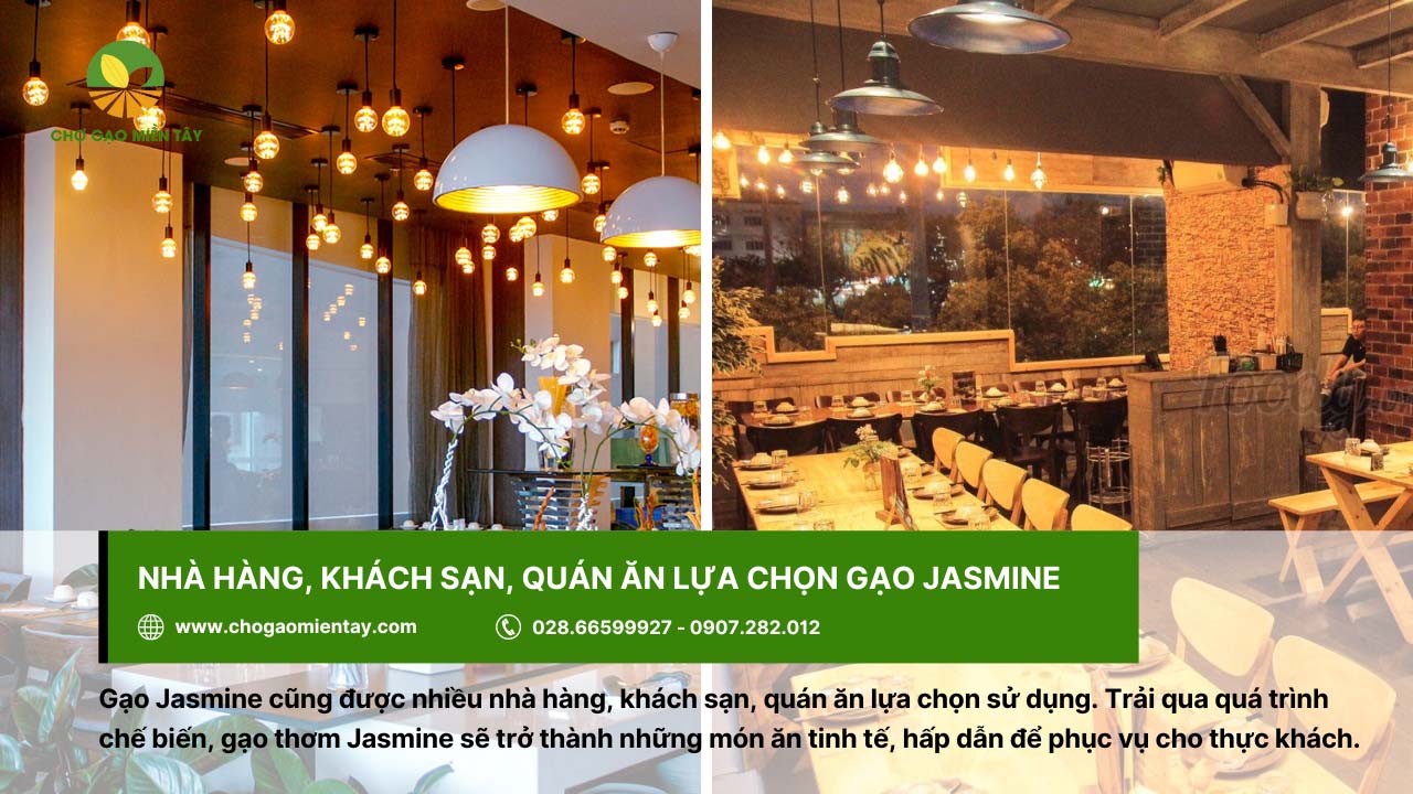 Gạo Jasmine được các nhà hàng/khách sạn, quán ăn lựa chọn phục vụ thực khách