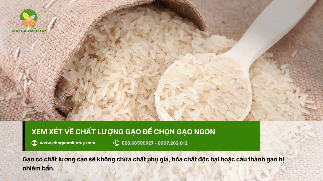 Nên chọn gạo không chứa hóa chất độc hại