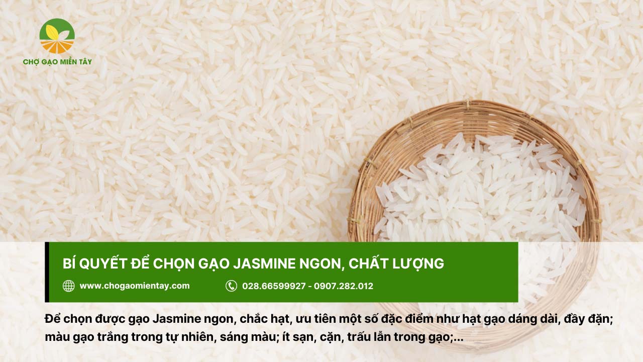 Nên chọn gạo Jasmine có dáng dài, màu trắng trong tự nhiên
