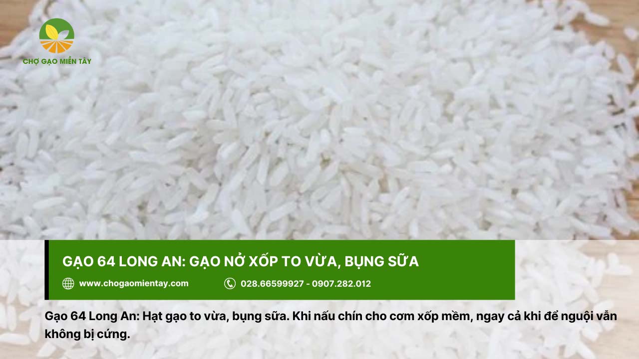 Gạo 64 Long An, loại gạo nở xốp cho cơm mềm