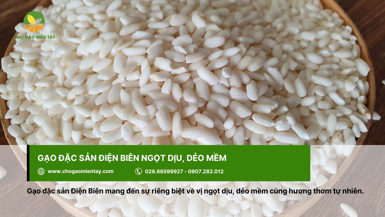 Gạo đặc sản Điện Biên có vị ngọt dịu