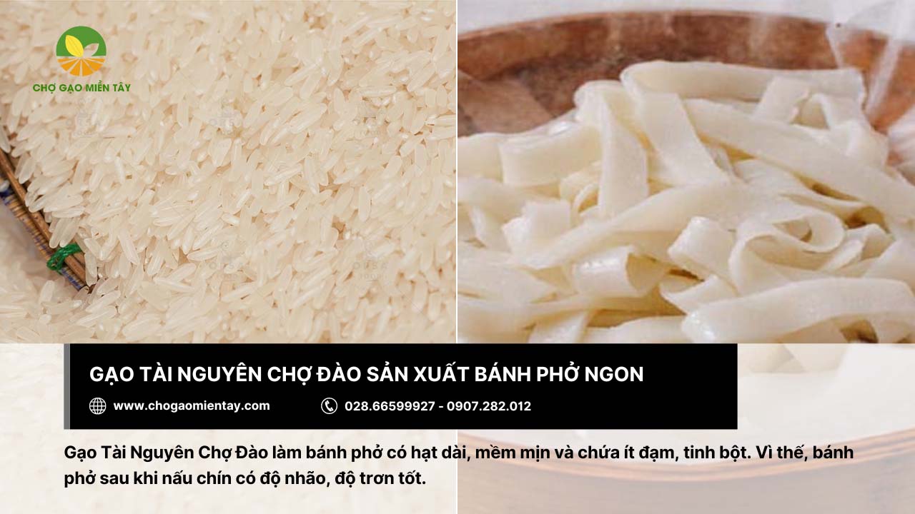 Gạo Tài Nguyên Chợ Đào thích hợp để sản xuất bánh phở