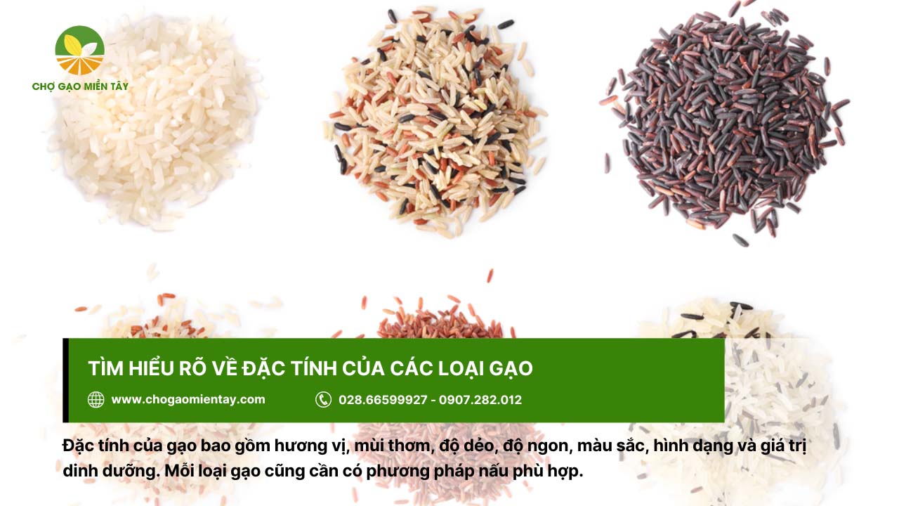 Xem xét đặc tính của các loại gạo về hương vị, độ ngon, màu sắc,...