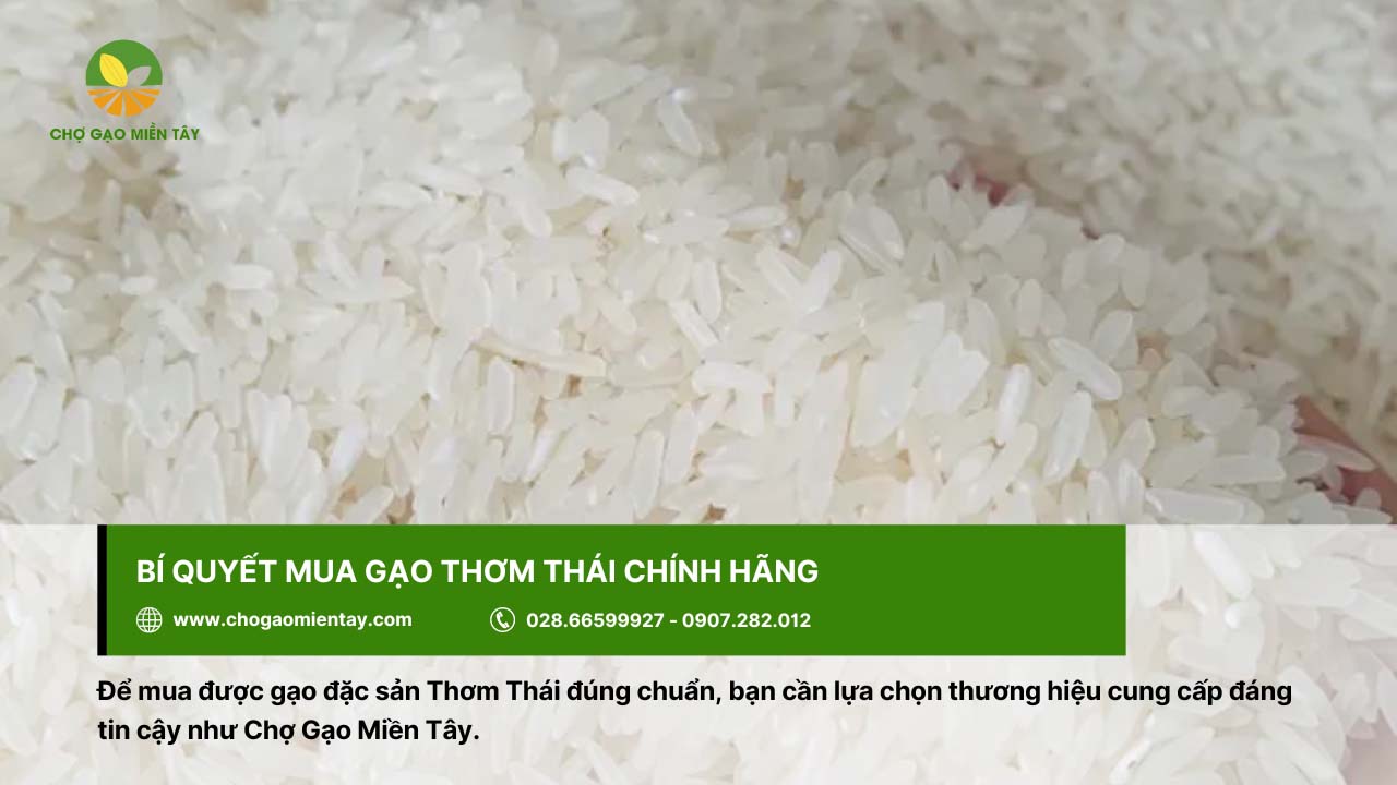 Chọn thương hiệu cung cấp gạo uy tín để đảm bảo mua gạo Thơm Thái chất lượng