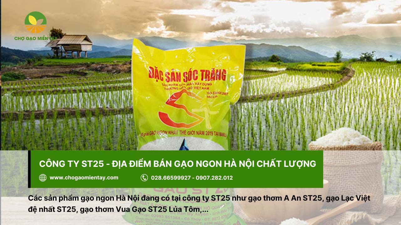 Công ty ST25 bán gạo ngon, chất lượng tại Hà Nội