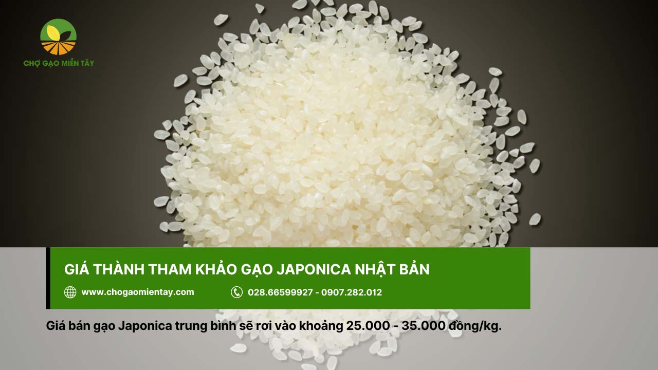 Gạo Japonica có giá khoảng 25.000 - 35.000 đồng/kg