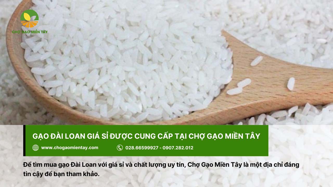 Mua gạo Đài Loan giá sỉ tại Chợ Gạo Miền Tây