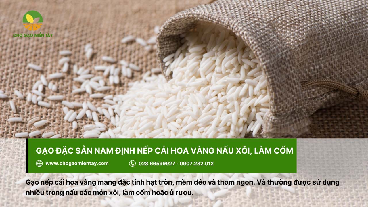 Gạo nếp cái hoa vàng là gạo đặc sản Nam Định có đặc điểm mềm dẻo