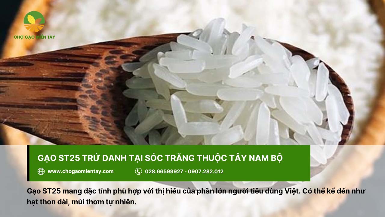 Gạo ST25 phù hợp với thị hiếu của người tiêu dùng Việt