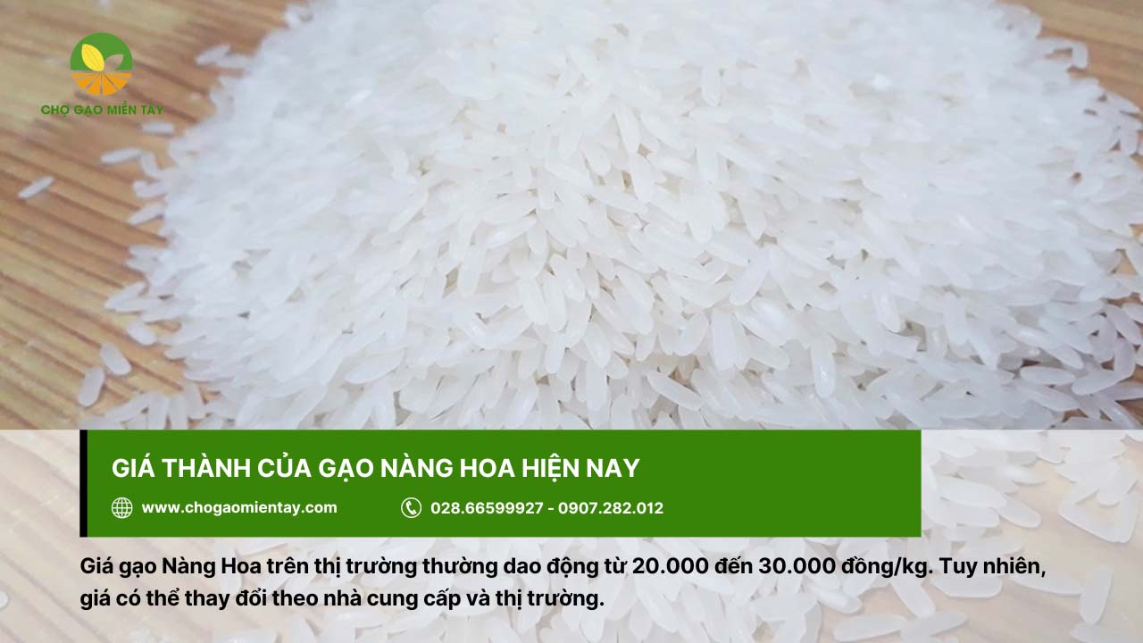 Giá của gạo Nàng Hoa có thể thay đổi tùy nhà cung cấp