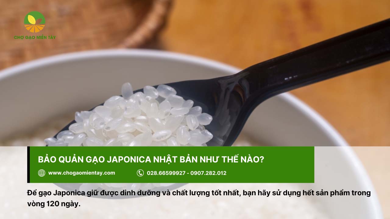 Sử dụng gạo Japonica Nhật nên sử dụng trong vòng 4 tháng sau khi mua