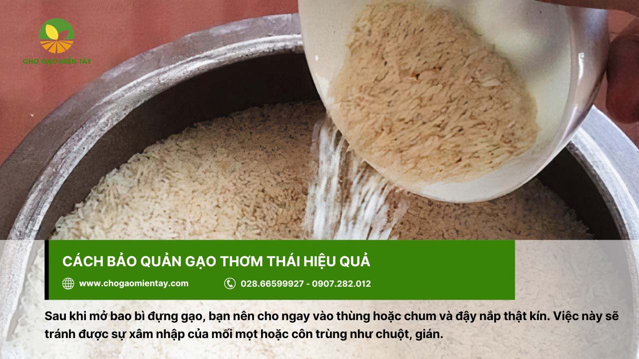Nên bảo quản gạo Thơm Thái trong thùng hoặc chum và đậy nắp kỹ càng