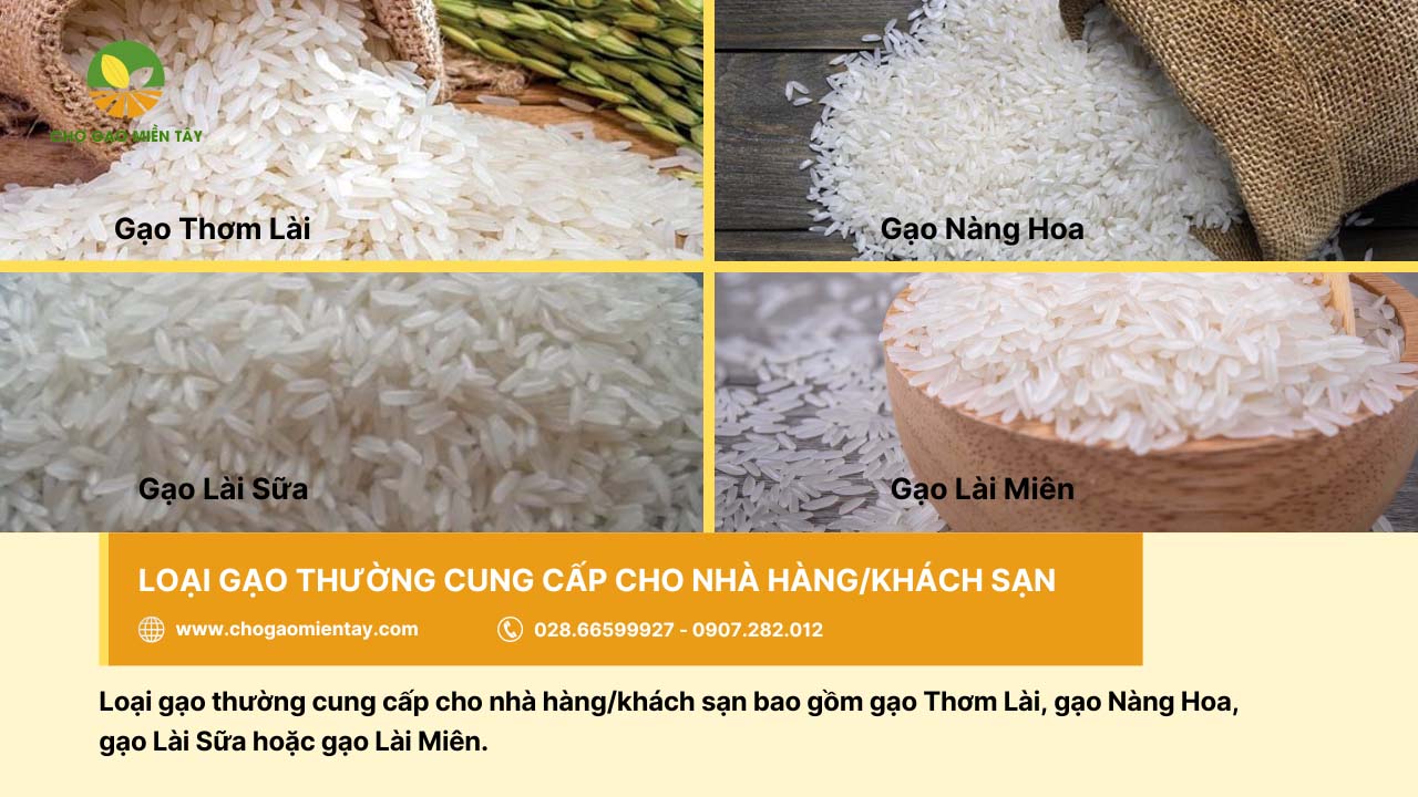 Có đa dạng loại gạo cung cấp cho khách sạn/nhà hàng