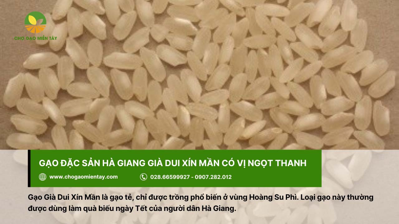 Gạo Già Dui Xín Mần làm quà biếu dịp Tết, nổi tiếng ở Hà Giang