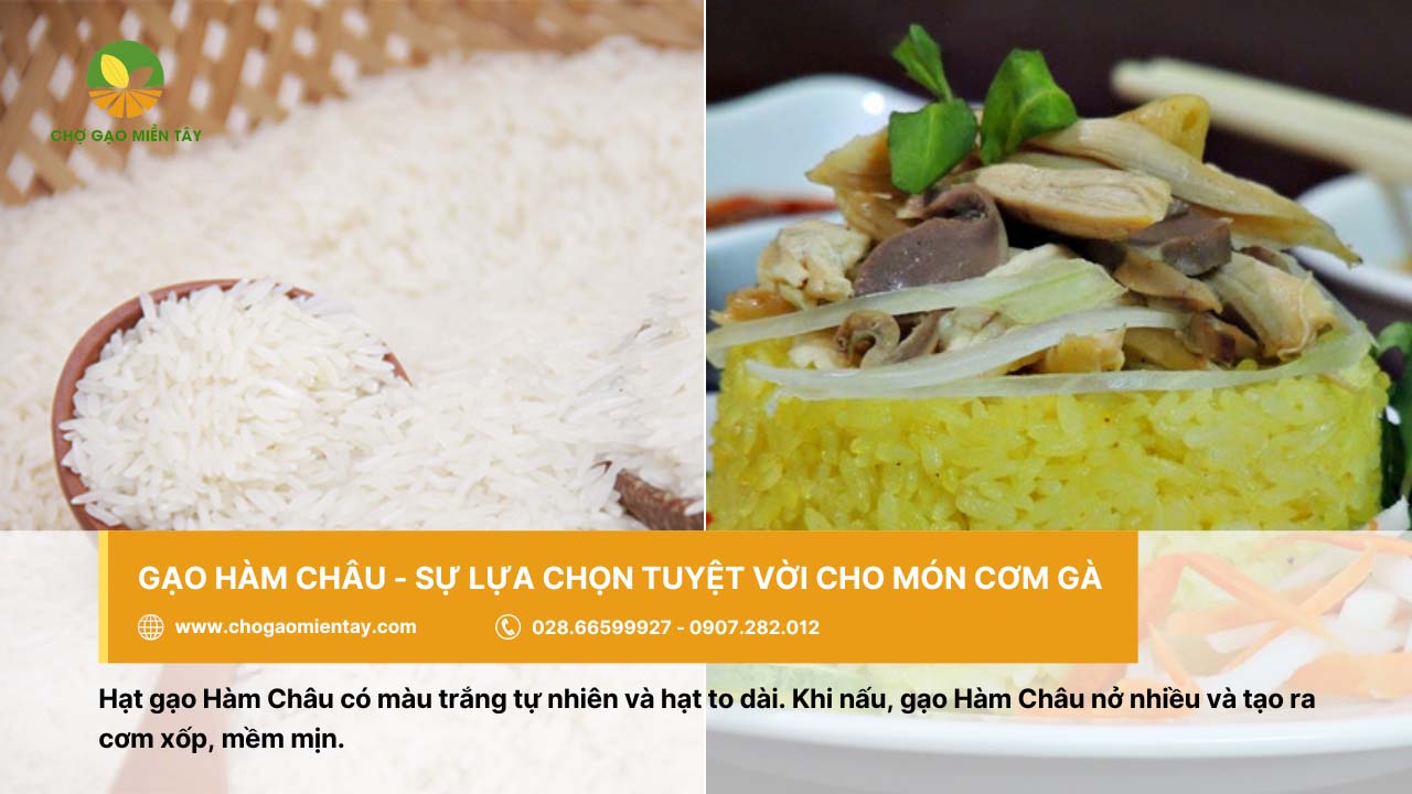 Gạo Hàm Châu là loại gạo tuyệt vời dùng để nấu món cơm gà