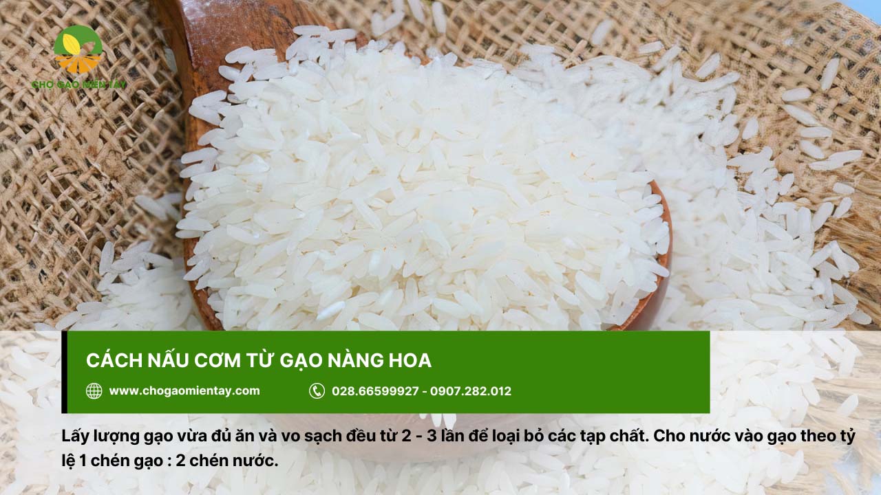 Nên vo gạo Nàng Hoa thật sạch trước khi nấu