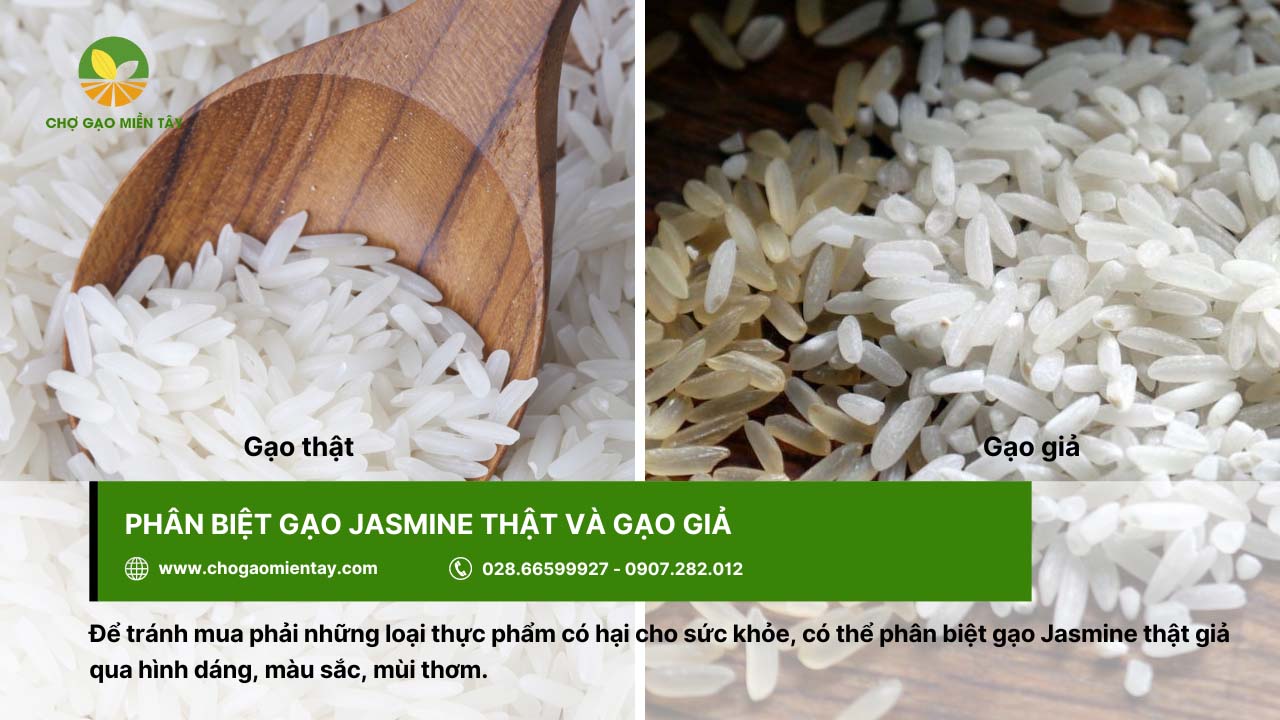 Phân biệt gạo Jasmine thật - giả