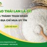 Gạo Thái Lan là gì? Giá thành tham khảo và địa chỉ mua uy tín