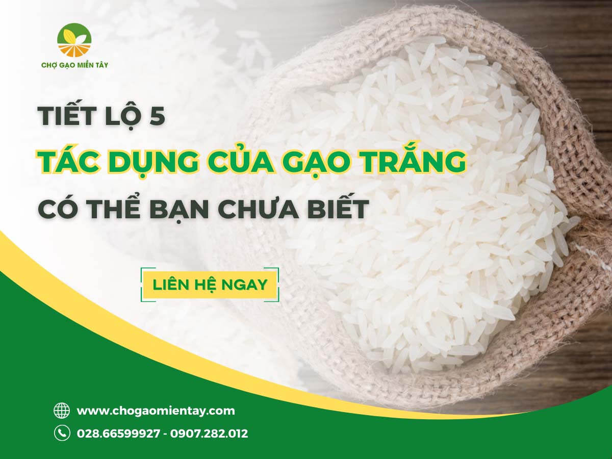 Tiết lộ 5 tác dụng của gạo trắng có thể bạn chưa biết