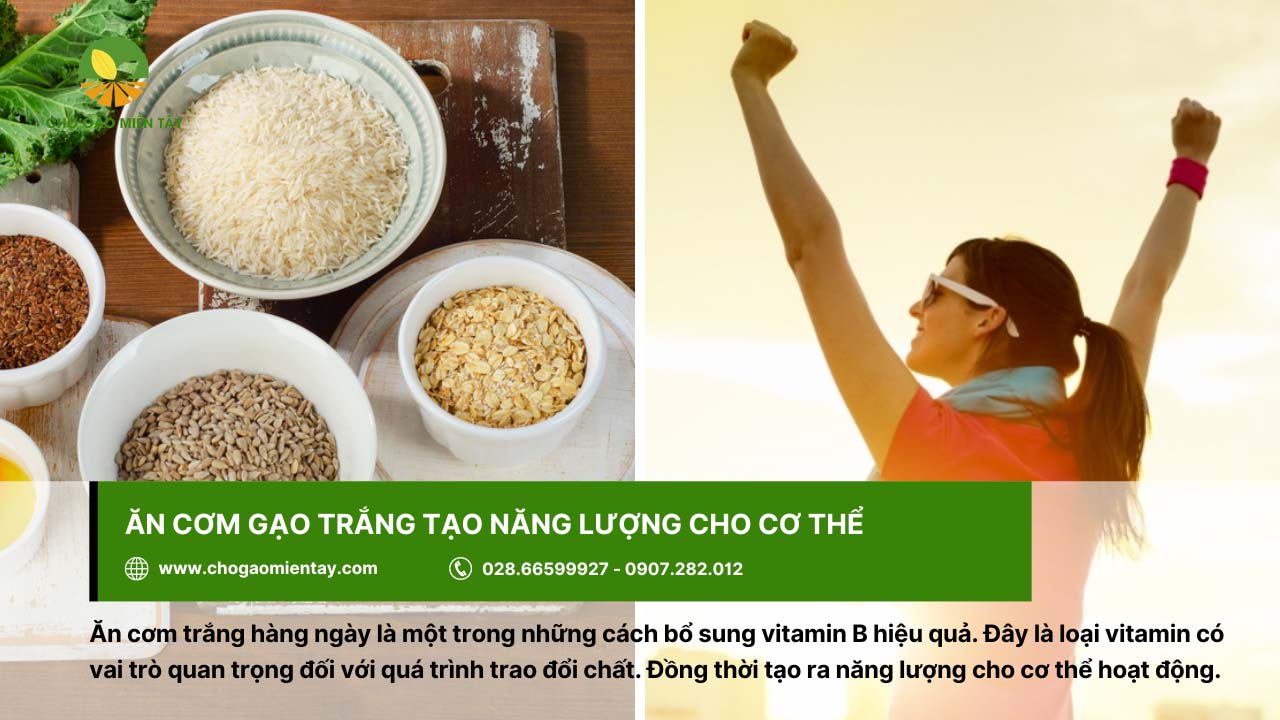 Cơm từ gạo trắng giúp tạo ra năng lượng tốt cho cơ thể