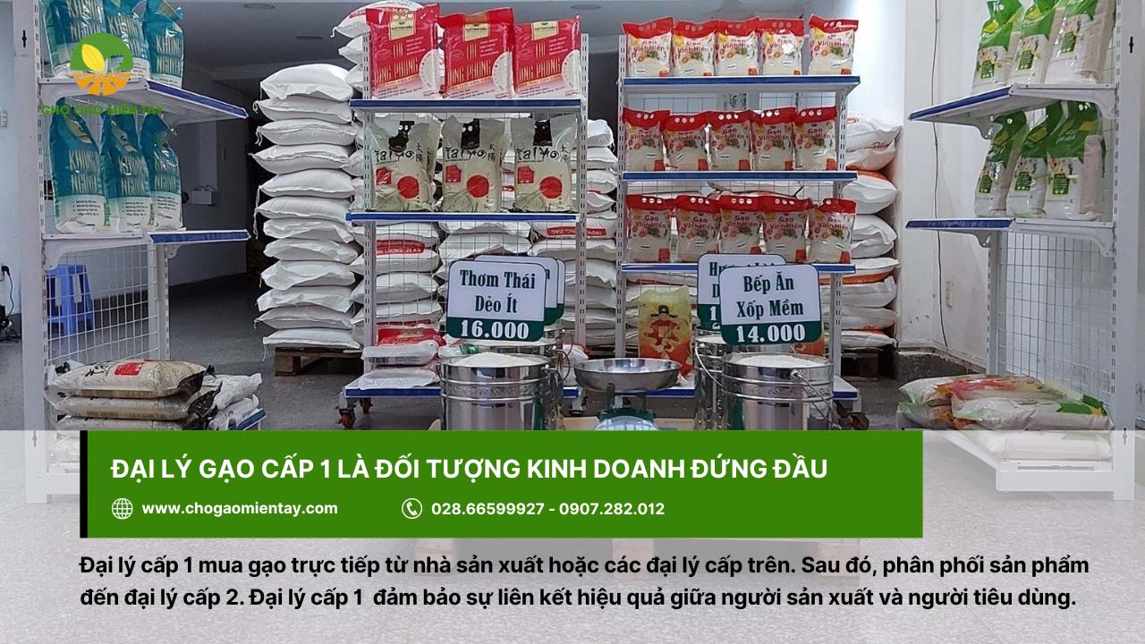 Đại lý cấp 1 thường mua gạo trực tiếp từ các nhà sản xuất