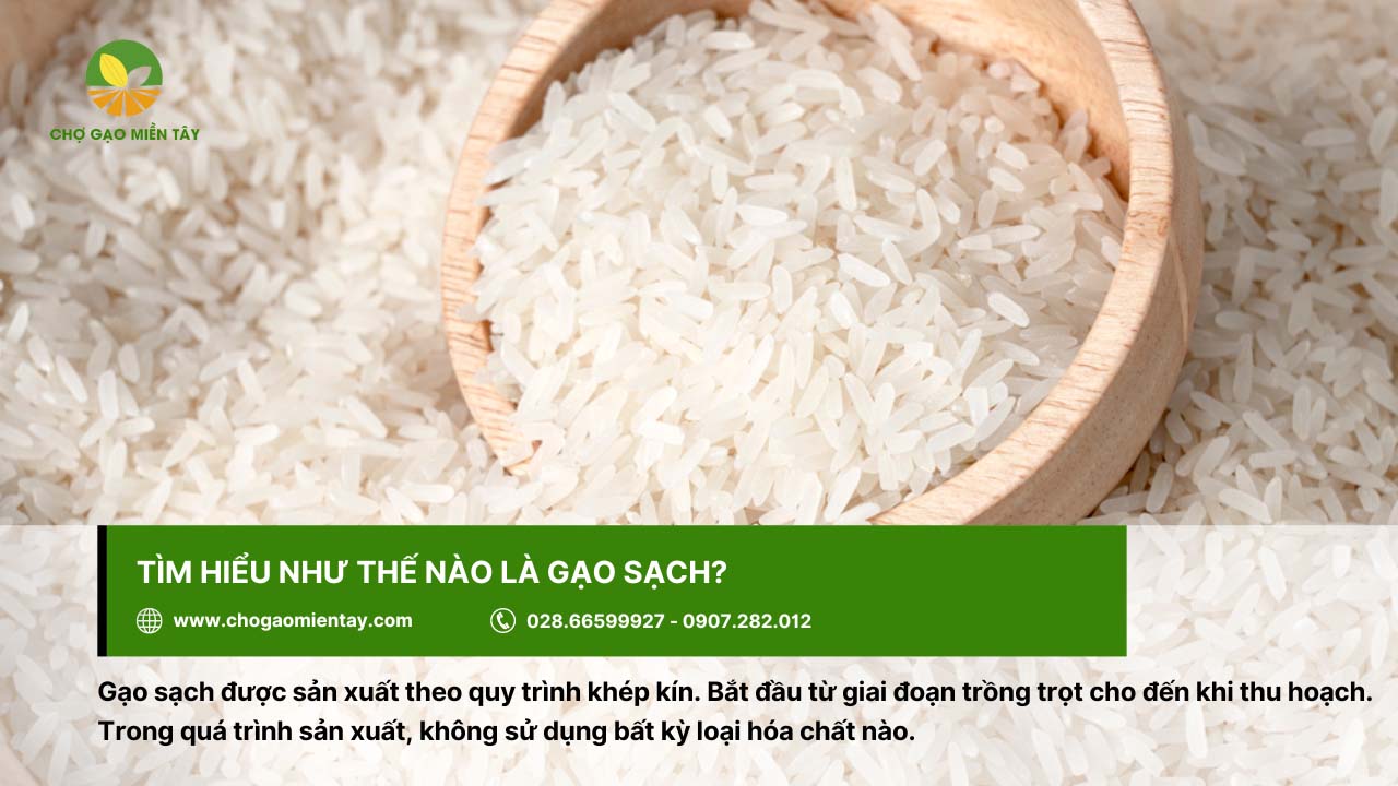Gạo sạch được sản xuất theo quy trình khép kín