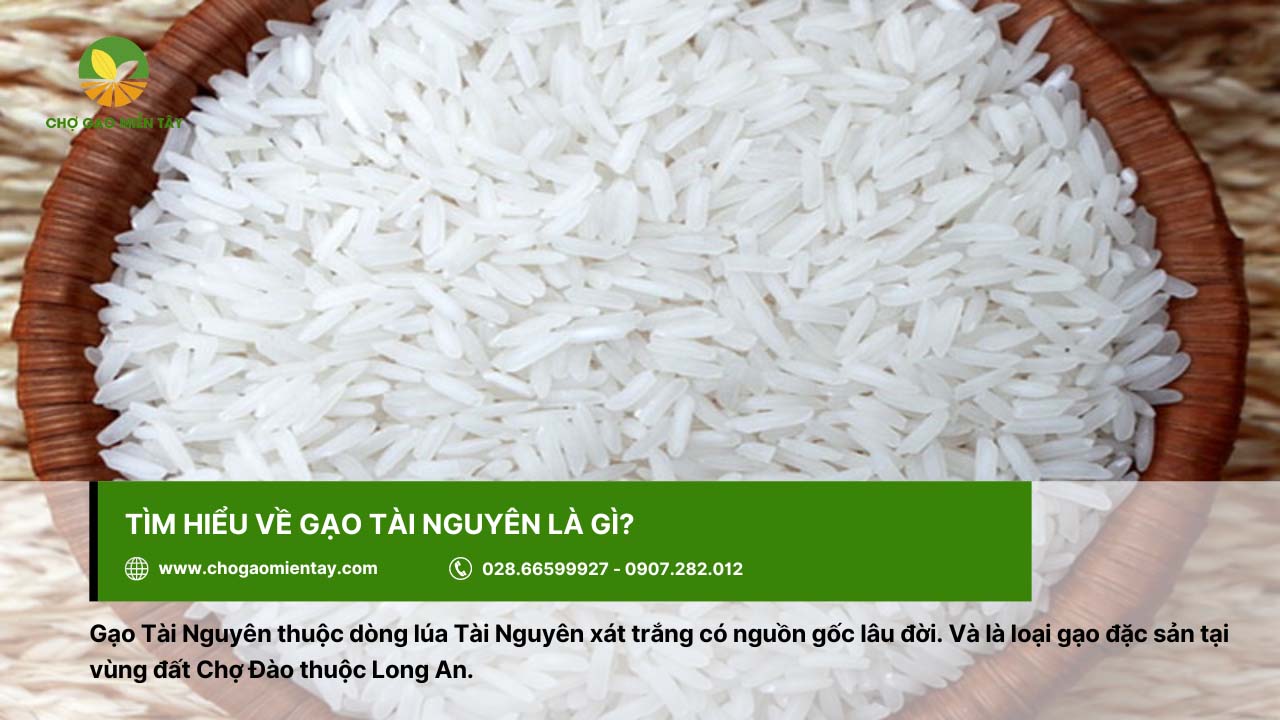 Gạo Tài Nguyên là loại gạo đặc sản ở vùng Long An