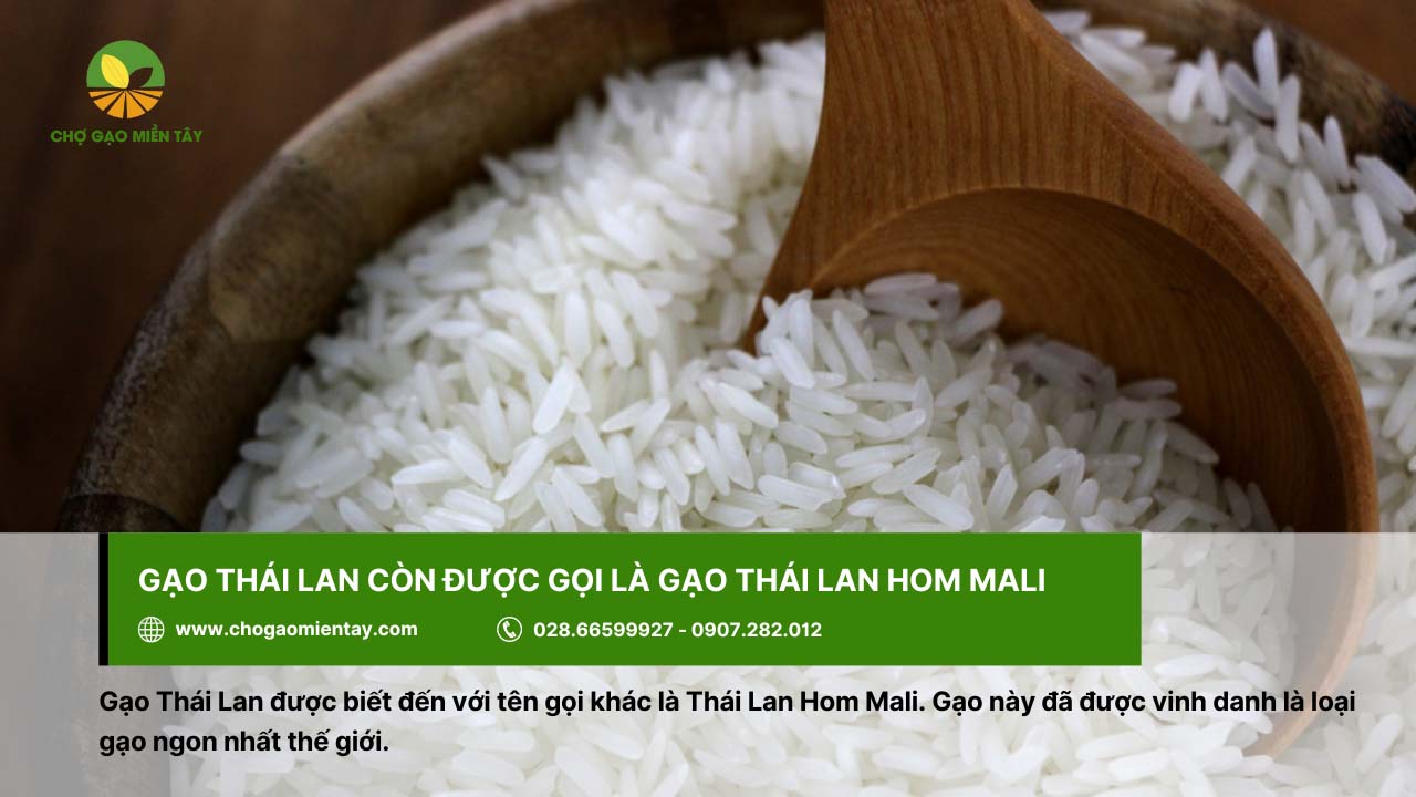 Gạo Thái Lan có tên gọi khác là Thái Lan Hom Mali