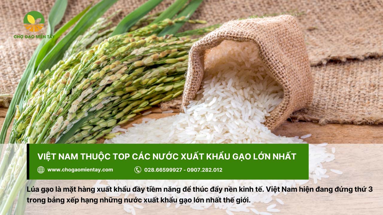 Việt Nam thuộc top 3 các nước xuất khẩu gạo trên thế giới