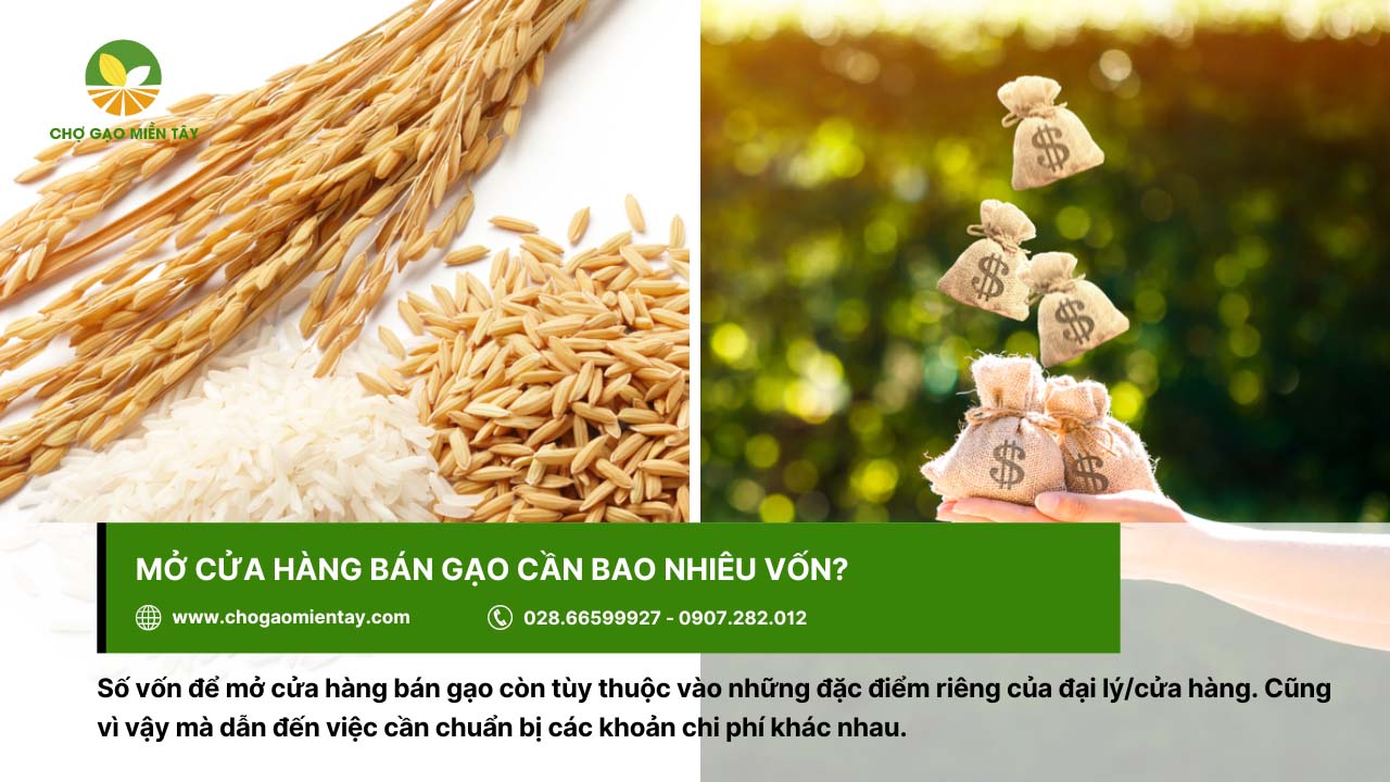 Mở đại lý gạo cần bao nhiêu vốn? Vốn mở cửa hàng bán gạo phụ thuộc vào nhiều yếu tố