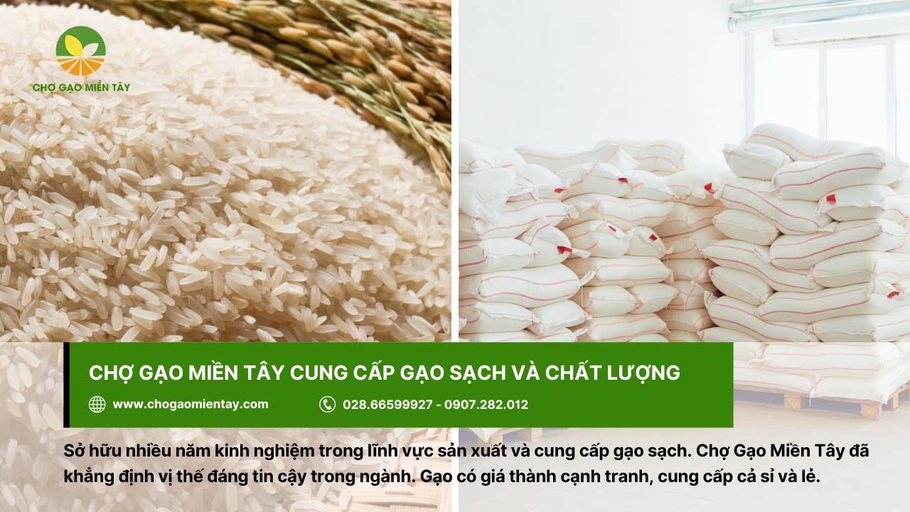 Chợ Gạo Miền Tây cung cấp gạo sạch và tươi ngon