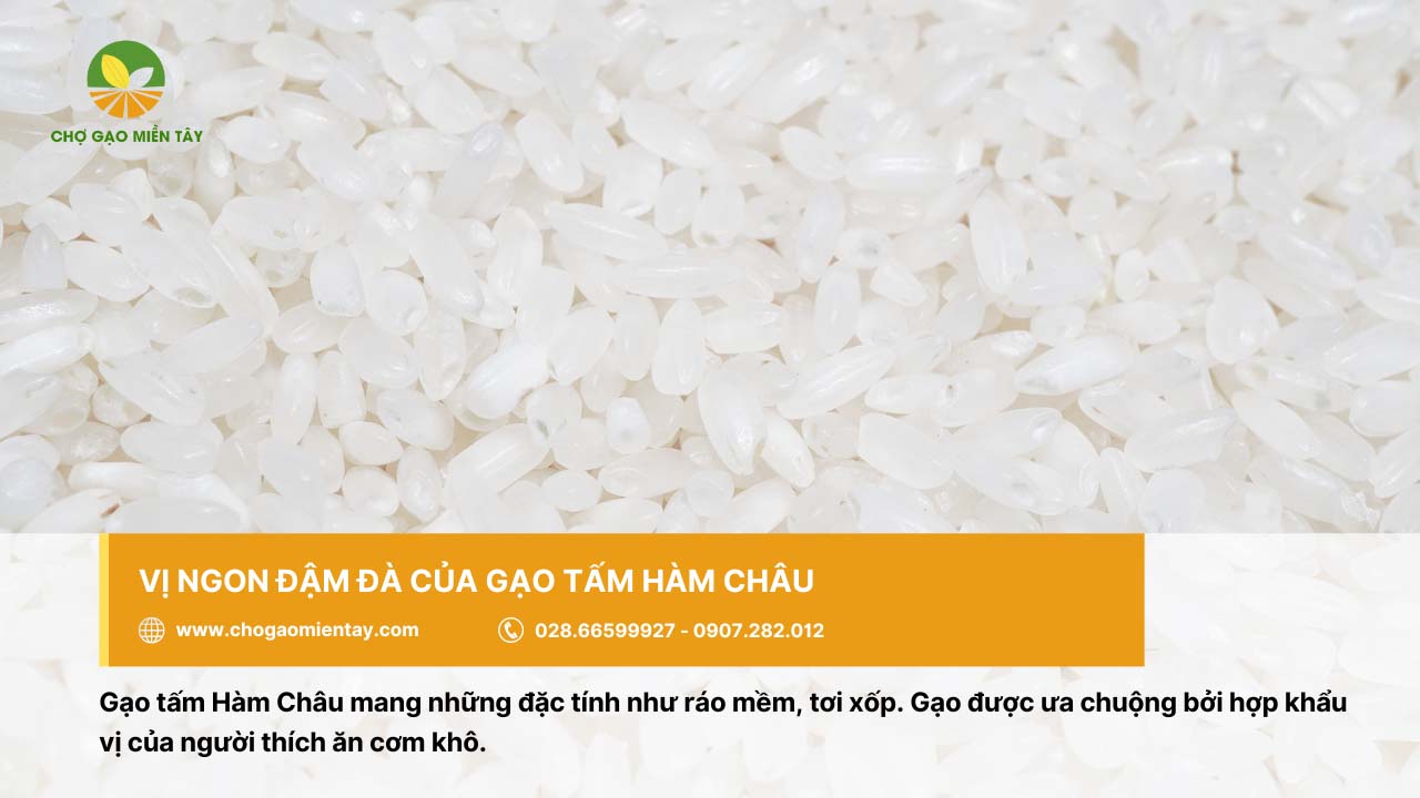 Gạo tấm Hàm Châu cho cơm tơi xốp, ngon đậm đà
