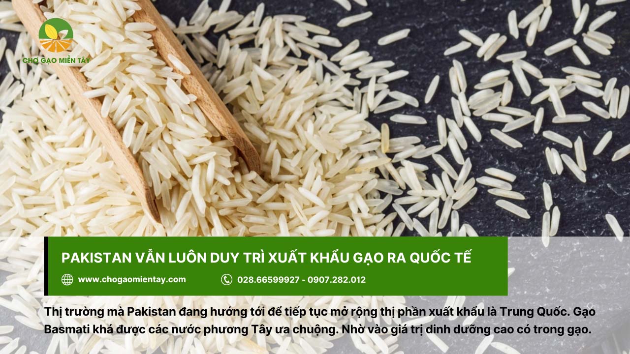 Pakistan vẫn luôn duy trì hoạt động xuất khẩu gạo ra thị trường quốc tế