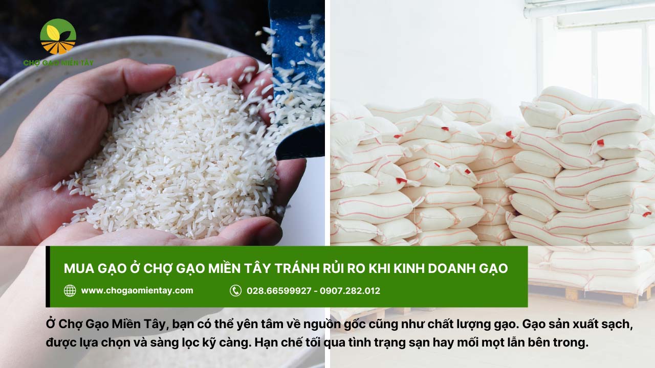 Mua gạo ở Chợ Gạo Miền Tây để tránh rủi ro khi kinh doanh gạo
