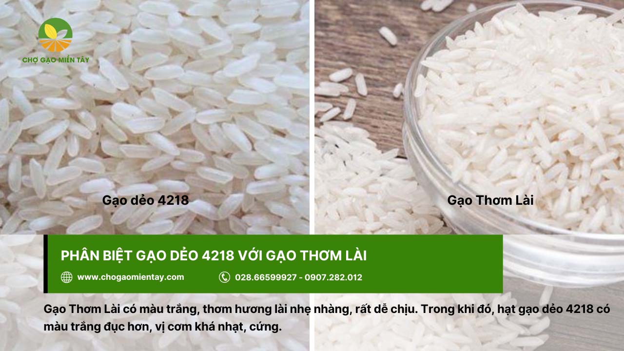 Cách để phân biệt gạo dẻo 4218 và gạo Thơm Lài