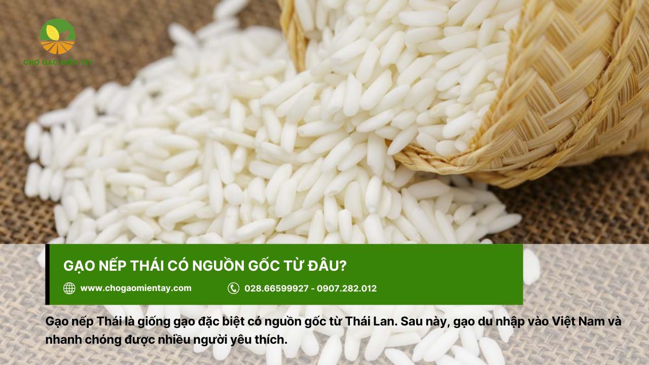 Gạo nếp Thái có xuất xứ từ Thái Lan