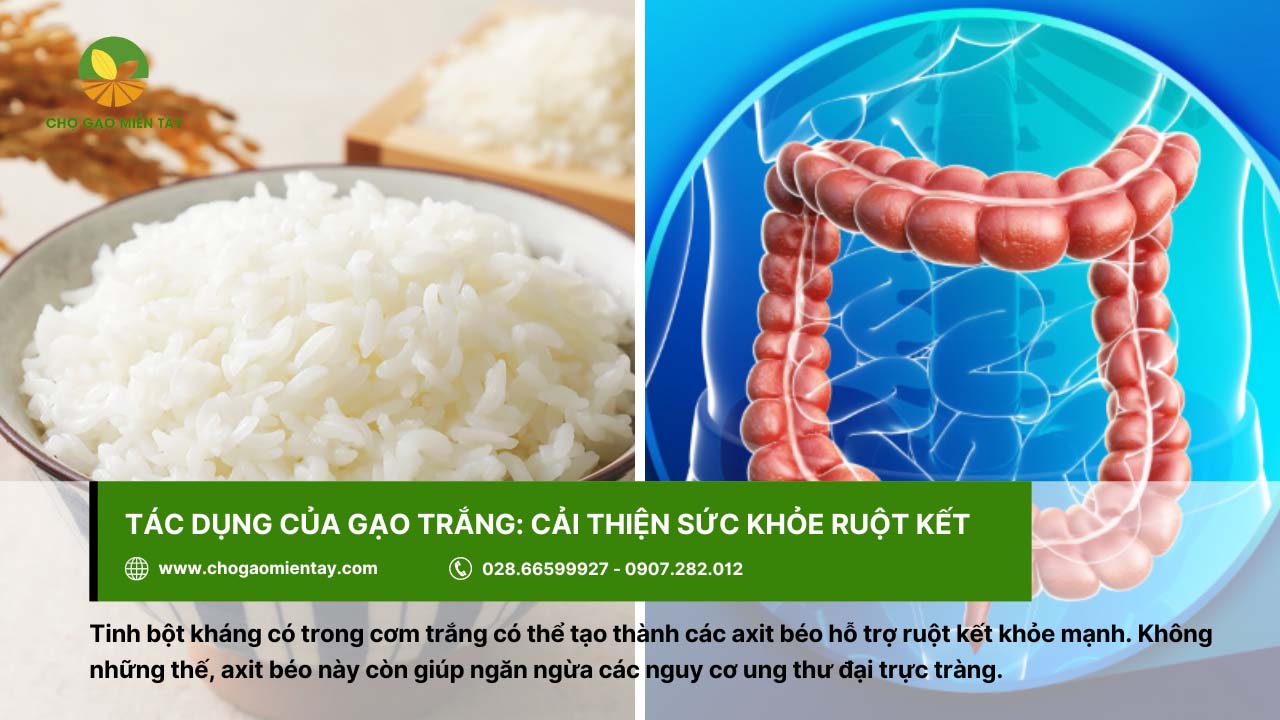 Sức khỏe ruột kết được cải thiện nhờ ăn cơm từ gạo trắng