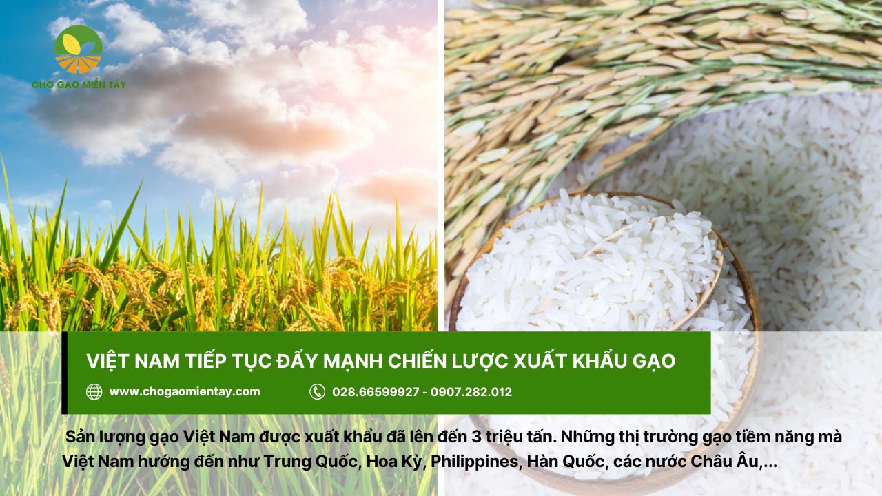Việt Nam tiếp tục đẩy mạnh chiến lược xuất khẩu gạo