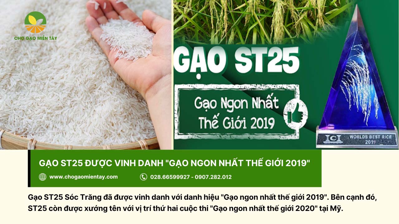 Gạo ST25 được vinh danh gạo ngon nhất thế giới vào năm 2019