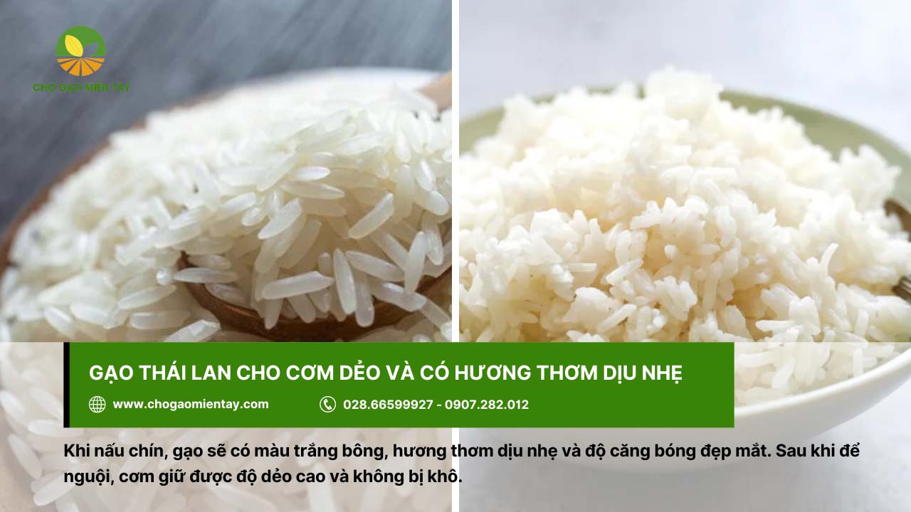 Gạo Thái Lan cho cơm dẻo và hương vị dịu nhẹ