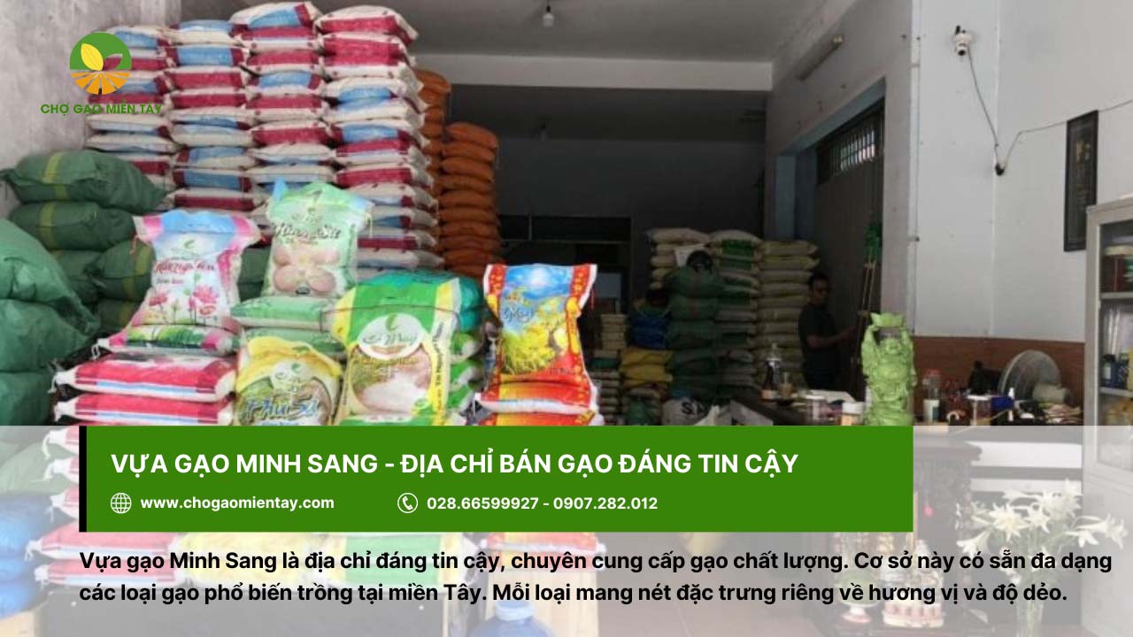 Vựa gạo Minh Sang cung cấp gạo chất lượng
